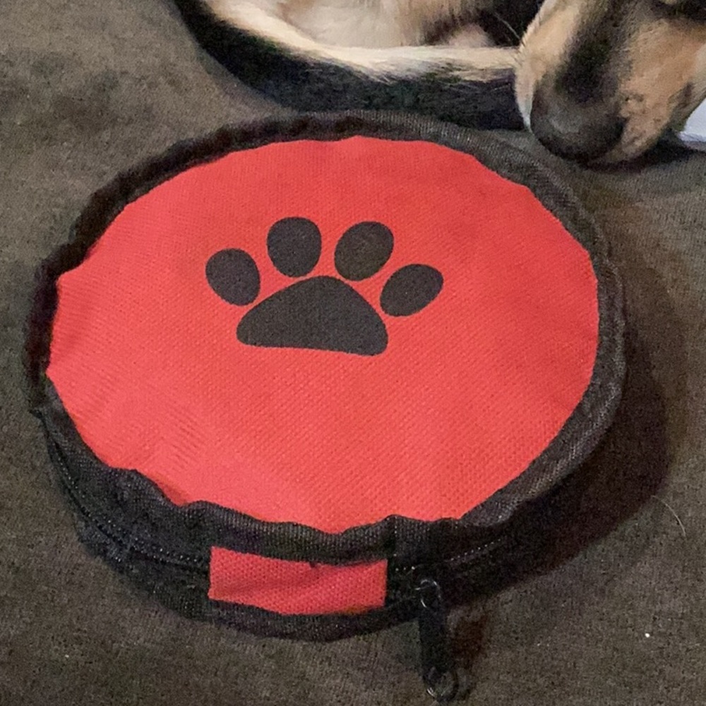 Portable food and water bowl